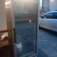 frigorifero negativo 