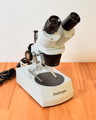 Microscopio Stereo AmScope SE306R-P20 40X-80X 220V