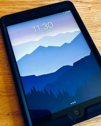 IPad mini 2ª Generazione