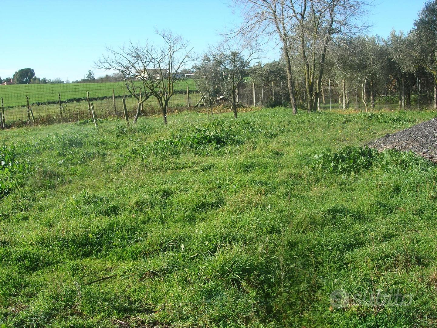 Terreno agricolo - Vista 2