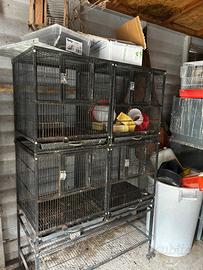 Gabbia per pappagalli