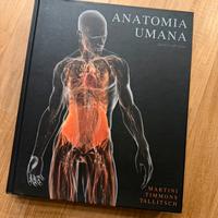Anatomia umana