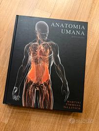 Anatomia umana