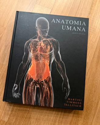 Anatomia umana