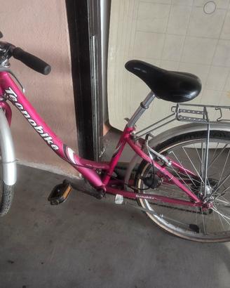 bicicletta tecnobike