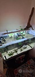 Acquario 120lt completo