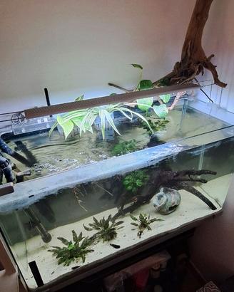 Acquario 120lt completo