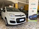 fiat-panda-1-2-easy-uniproprietario