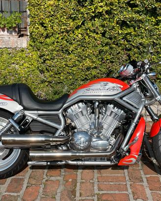 Harley-Davidson V-Rod - Screamin Eagle