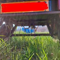 Carretto  appendice.