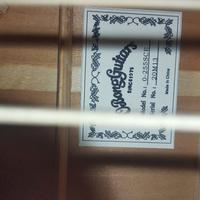 basso acustico elettrificato