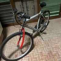 Bicicletta con cambio