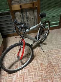 Bicicletta con cambio