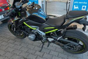Kawasaki Z900 Performance MY 2018