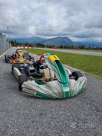 tony kart 401rr 