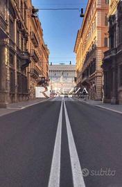 Appartamento di 300 m² con più di 5 locali a Roma