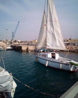 Barca a vela Alpa Dodi 670