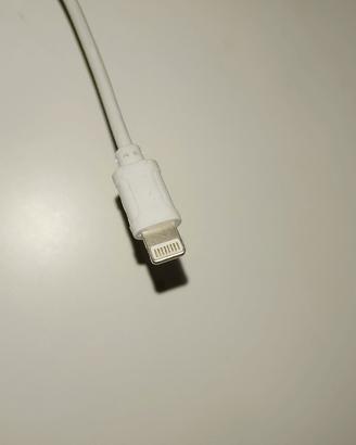 Cavo di Ricarica Apple USB -LIGHTNING