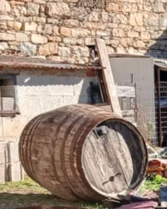 Atrezatura da vendemmia