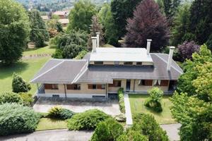 POLLONE VIA SENATORE FRASSATI