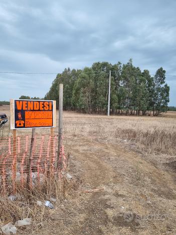 Terreno Agricolo