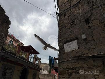 3 LOCALI A NAPOLI
