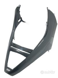 CARENA ANTERIORE INFERIORE CARBONIO DUCATI PANIGAL