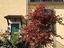 Immagine 3
