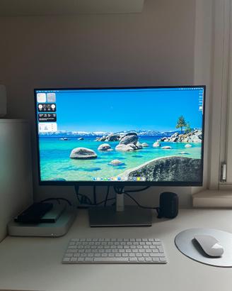 Monitor Dell 27" 4K USB-C P2721Q