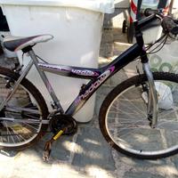 mountain bike Shadow 4000