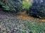 Immagine 25