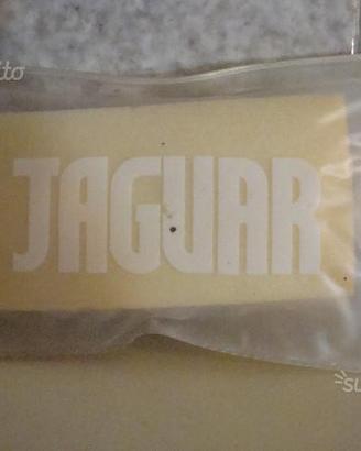 Spugna Lava Auto Originale Jaguar blisterata