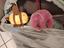 Immagine 3