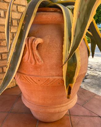 Anfora in terracotta fiorentina