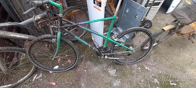 bianchi ragno 