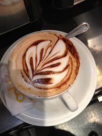 barista cameriere addetto paninoteca 