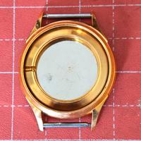 Cassa Orologio Acciaio Inox Placcata Oro EB1197