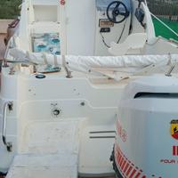 mano 20 cabin con Mercury 115 4 tempi 