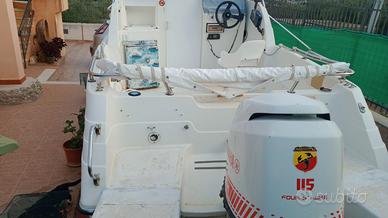 mano 20 cabin con Mercury 115 4 tempi 