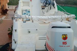 mano 20 cabin con Mercury 115 4 tempi 