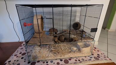 Gabbia/Terrario/Tana