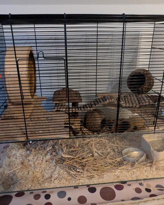 Gabbia/Terrario/Tana