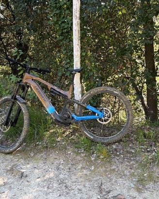 Bici emtb