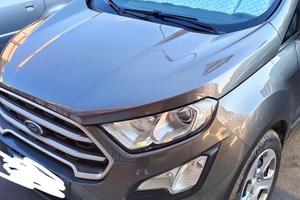 Ford EcoSport-Ecoboost 100 CV Business