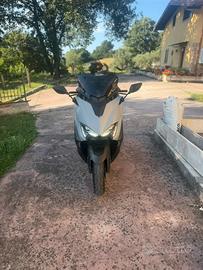 T-max