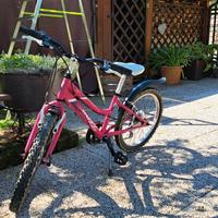 Bicicletta Nuzzi L32 bambina 6-10 anni