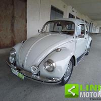 VOLKSWAGEN Maggiolino Lusso
