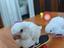 Immagine 6