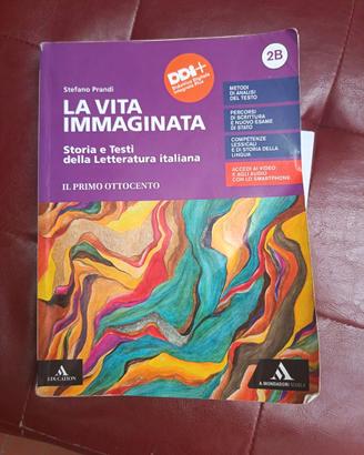 Libro La vita immaginata 2b