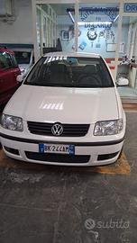 Autovettura Polo